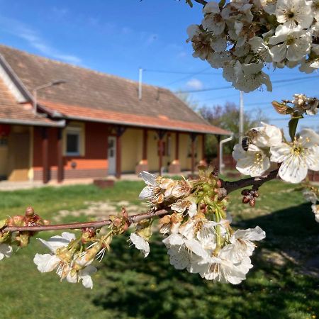 Tiszavirag Vendeghaz Tiszacsege Exterior foto