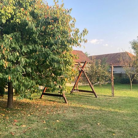 Tiszavirag Vendeghaz Tiszacsege Exterior foto