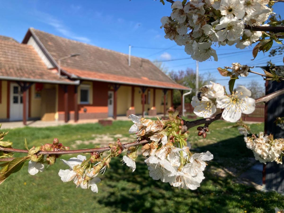 Tiszavirag Vendeghaz Tiszacsege Exterior foto